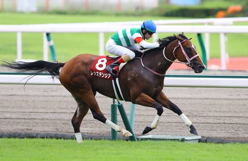 レシステンシア（Resistencia） | 競馬データベース | JRA-VAN World