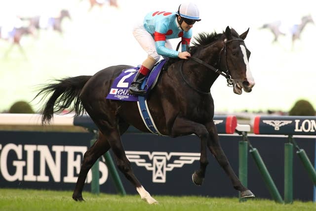 イクイノックス（Equinox） | 競馬データベース | JRA-VAN World