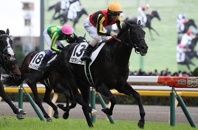クロワデュノール出走予定の仏G3プランスドランジュ賞に英国ゴスデン
