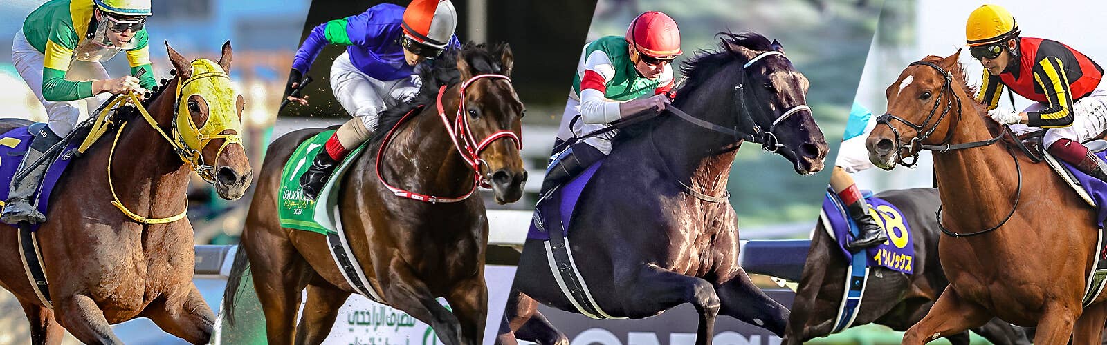 日本馬の歴史 | 2023ドバイワールドカップ | JRA-VAN World - 海外競馬