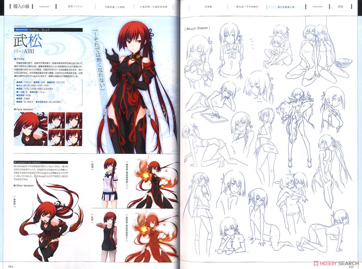 真剣で私に恋しなさい！A ビジュアルファンブック (画集・設定資料集