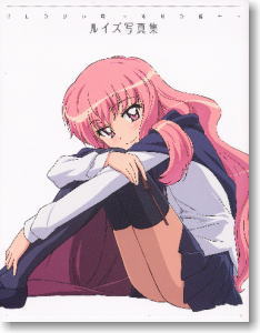 ゼロの使い魔～双月の騎士～ ルイズ写真集 (画集・設定資料集