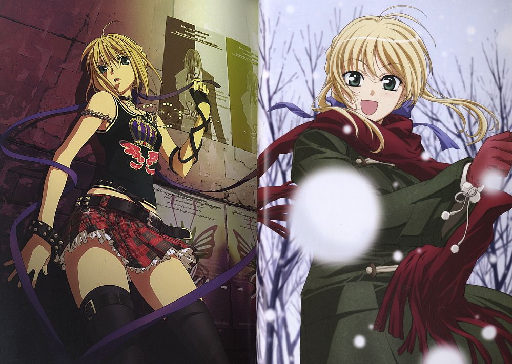 Fate/stay night セイバー写真集 (画集・設定資料集) - ホビーサーチ