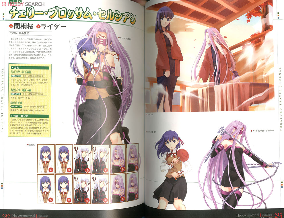 Fate/complete material V Hollow material (画集・設定資料集