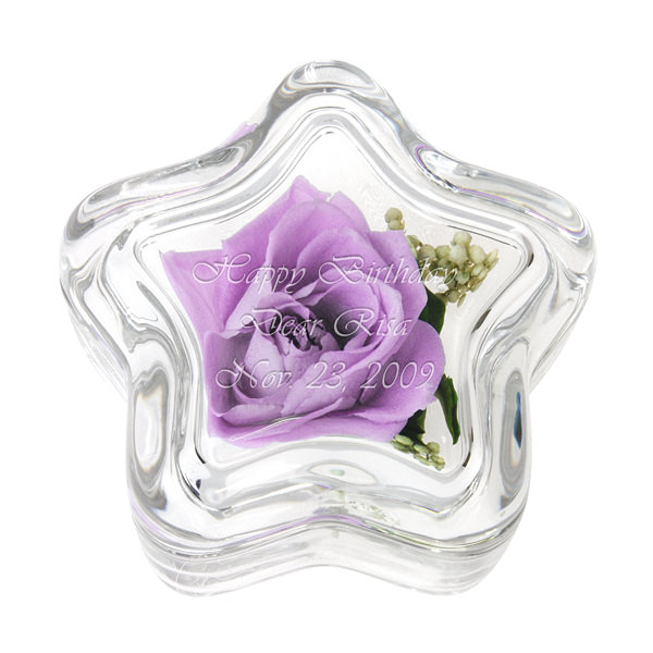 プリザーブドフラワー スターオレンジローズ [ 2-U ]