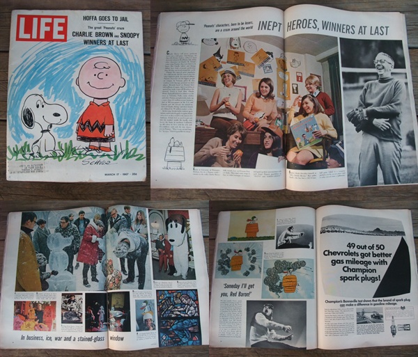 60s SNOOPY / LIFE MAGAZINE (AC-1011) - 2000toys Antique Mall