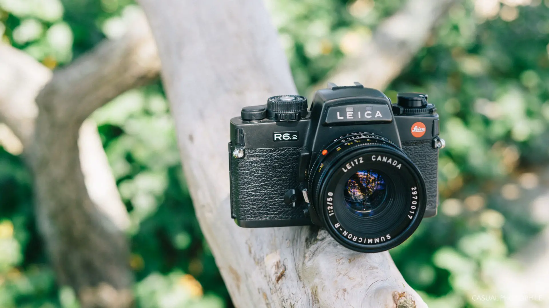 Leica R6.2 Review - By James Tocchio of Casual Photophile - 35mmc