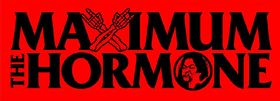 ホルモンの定番タオル | 歴代GOODSライブラリー | マキシマム ザ