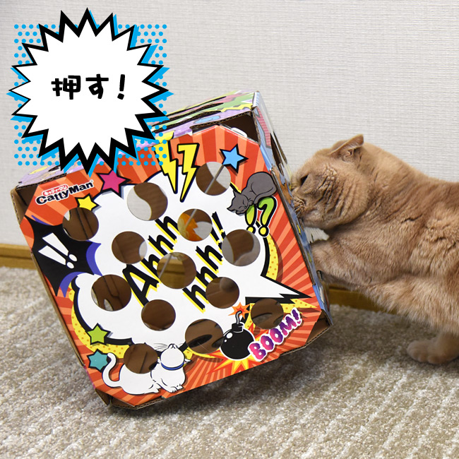 キャティーマン 猫ちゃんテンション爆アゲBOX (45280) 猫用おもちゃ