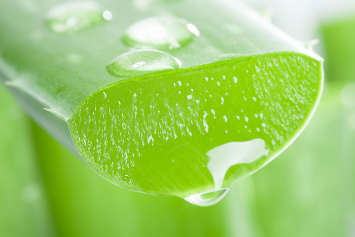 アロエベラ液汁配合オーガニックアロエジェルの使い方 | フランス