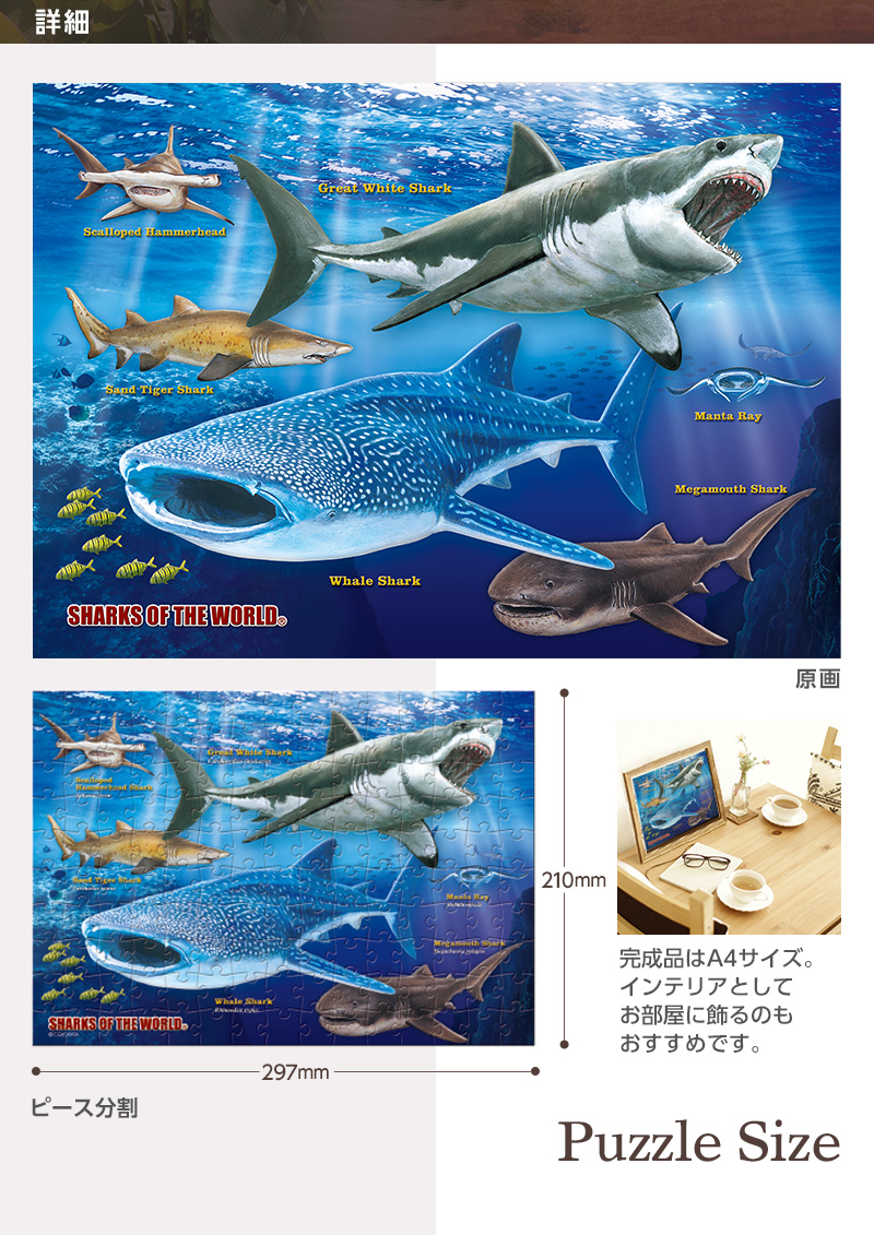 ミュージアムジグソーパズル 巨大ザメと危険ザメの仲間│カロラータ