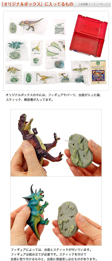 動物 生物 立体図鑑 ディノボックスVOL．1 / カロラータ