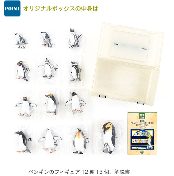 動物 生物 立体図鑑 ペンギンボックス / カロラータ オンラインショップ