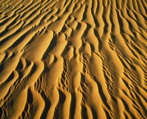 サハラ砂漠 | Corvet Photo Agency