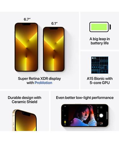 iPhone 13 Pro 1TB Gold | Cellcom