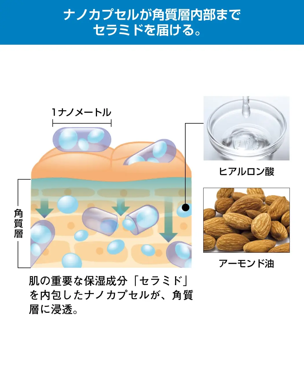 通販生活®セラミドボディミルク『真白玉』-スキンケア・化粧品｜【公式
