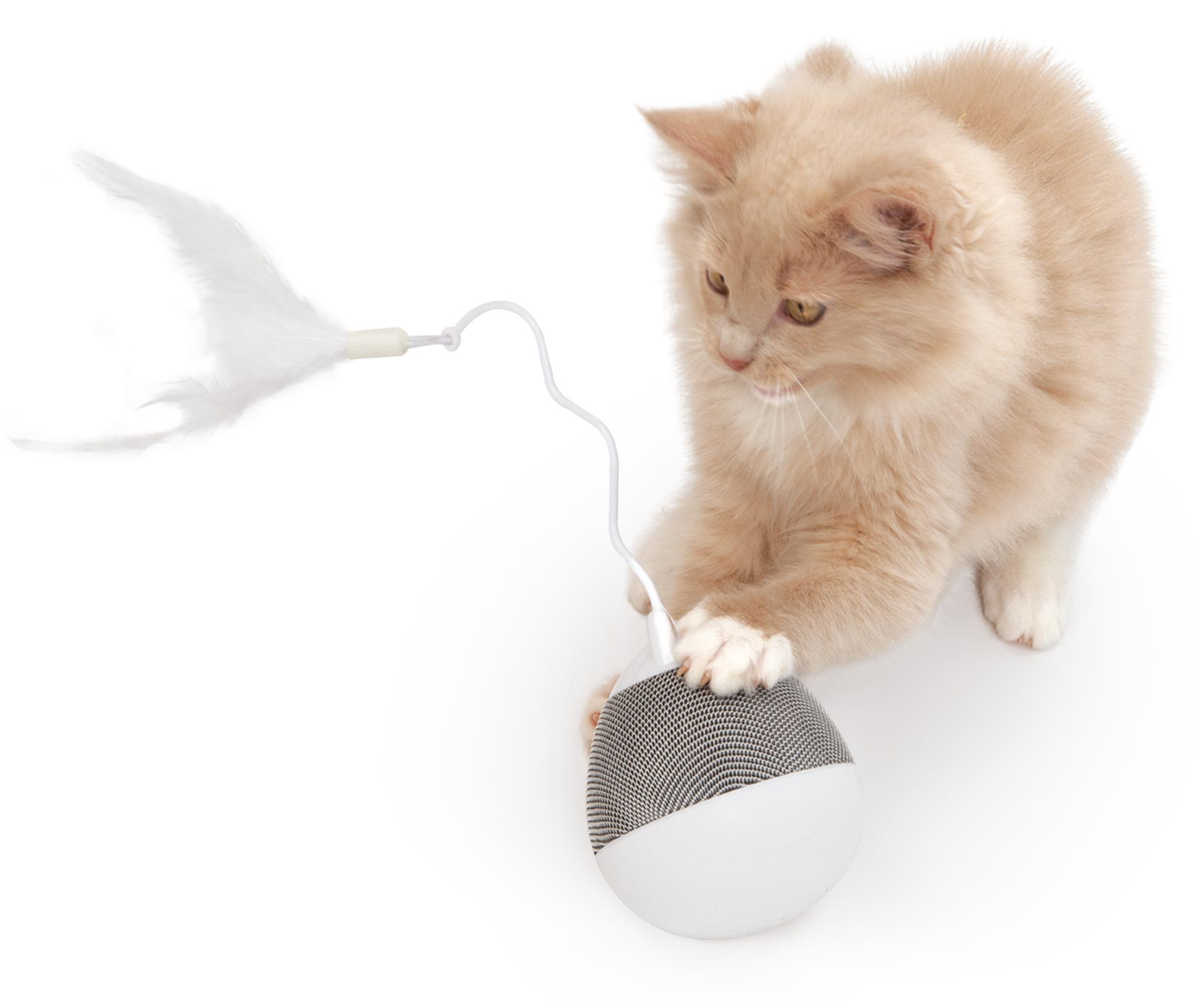 Catit PIXI スピナー - 商品