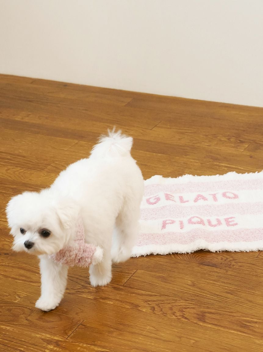 gelato pique（ジェラートピケ）【CAT&DOG】【販路限定商品