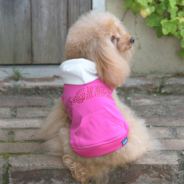 X-girl（エックスガール）スターロゴフーディー | 犬服・ドックウェア