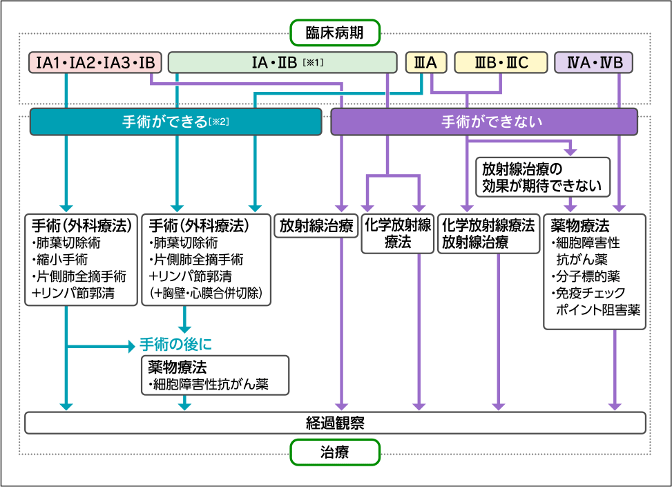 治療方針の決定｜肺がんinfoナビ