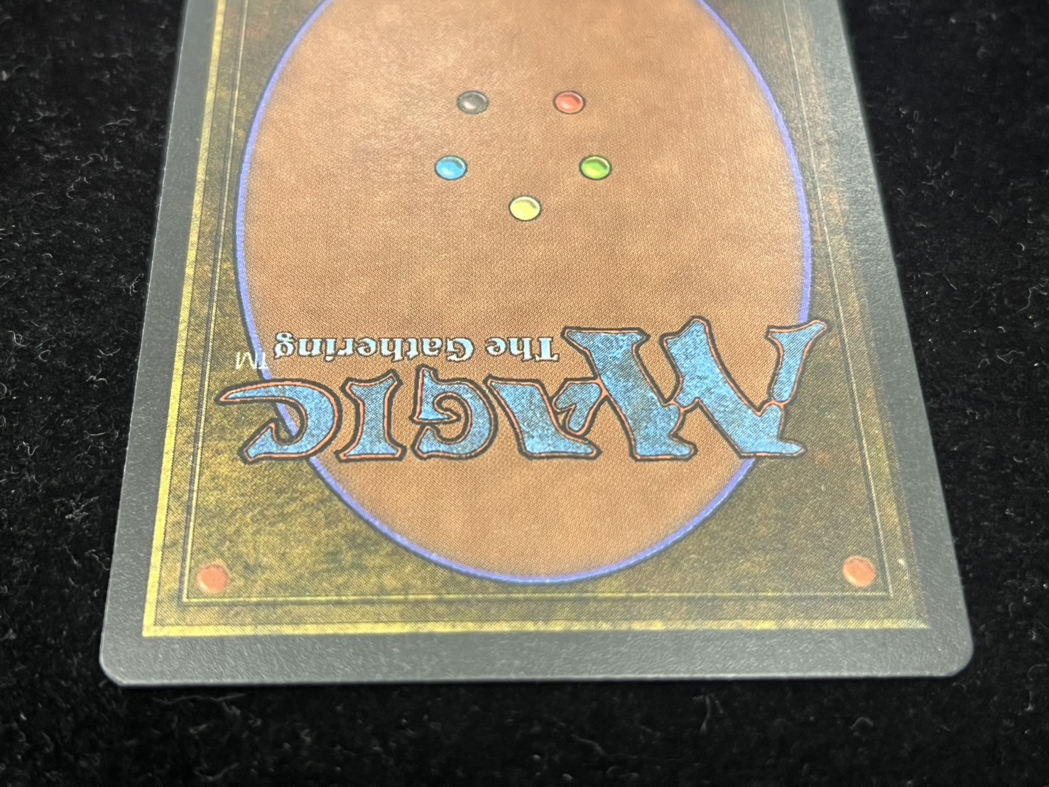 EX+]The Tabernacle at Pendrell Vale《イタリア語》【LEG】#246