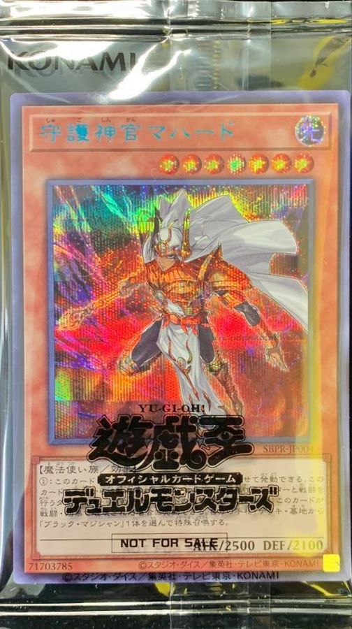 未開封)守護神官マハード(当選通知書付き、ダンボール付き