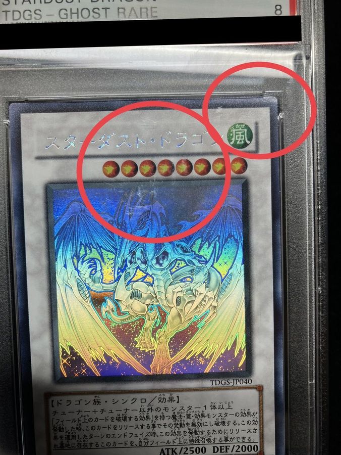 PSA8鑑定済〕スターダストドラゴン【ホログラフィック】{TDGS-JP040