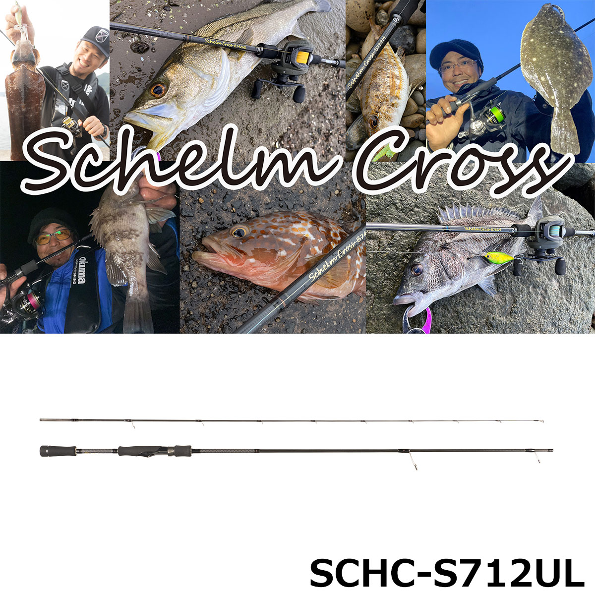 ジャクソン(Jackson) ジェスター JSS-701XMH-SP ○廃番 ジェスター