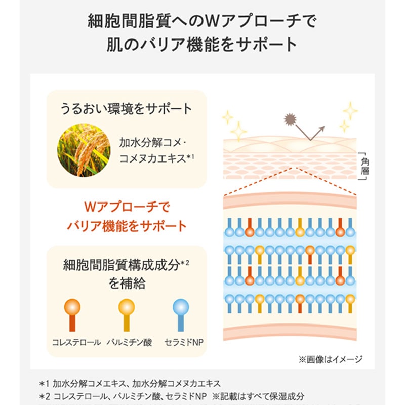 フェイシャリスト リペアミルク│【公式】シーボン（C'BON）ホームケア