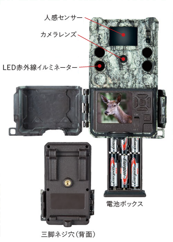 Bushnell ブッシュネル トロフィーカムXLT 30MPノーグロウSC4K