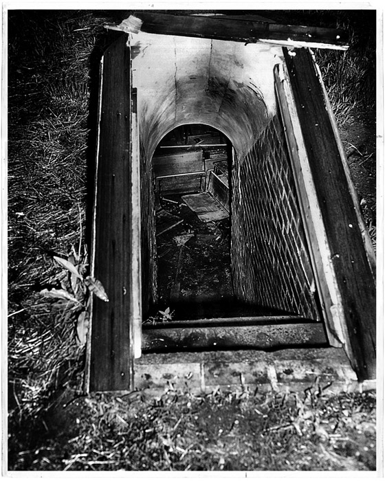 アート・デザイン・音楽 Redheaded Peckerwood Christian Patterson