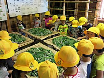 まちの文化財（117） 上垣守国と養蚕秘録／養父市