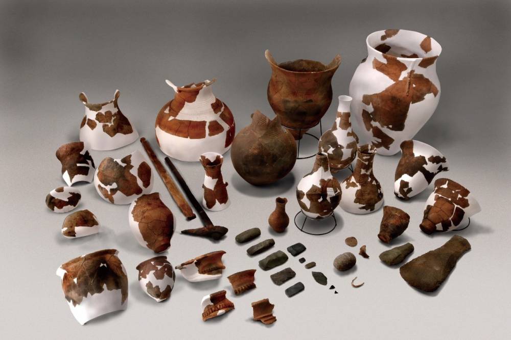 小田原市 | 考古資料・中里遺跡の弥生時代中期出土品