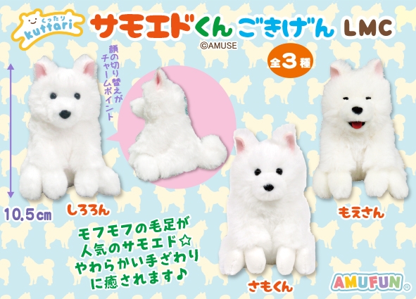 ≪3月の新商品≫くったりサモエドくんごきげん-NEW ITEM！｜アミューズ