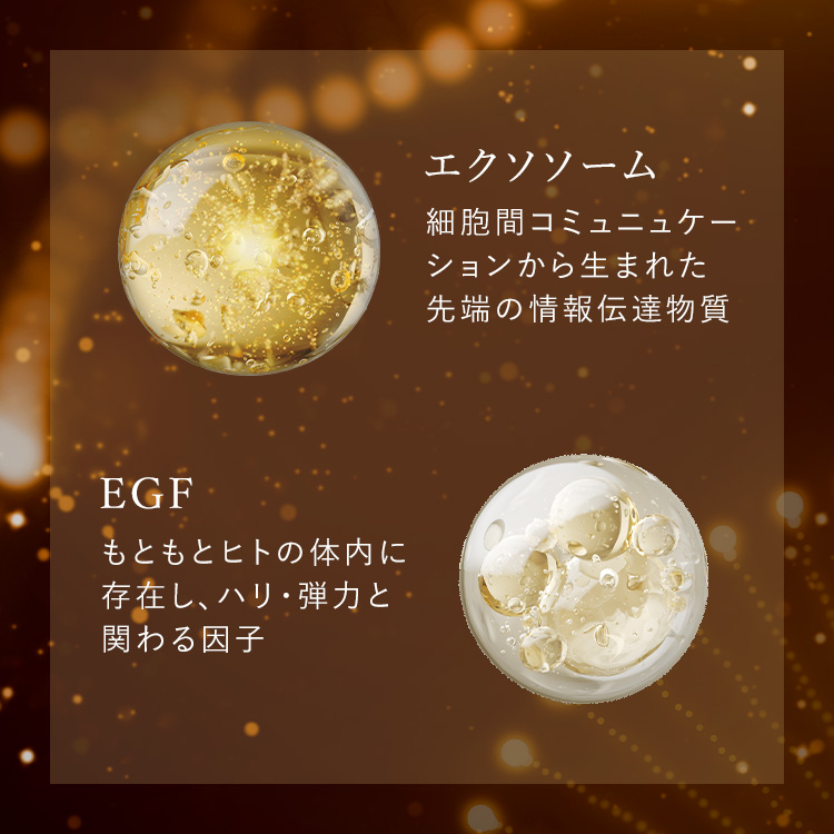 アンプルール リジュリューション｜美容液｜スキンケア｜アンプルール