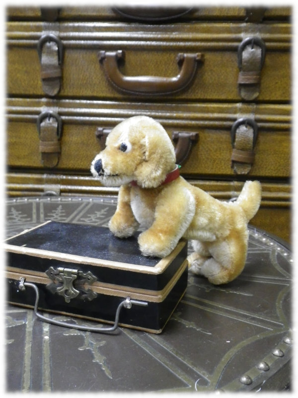 シュタイフ ダックスフント 縦7cm 横15cmの通販｜銀座人形館