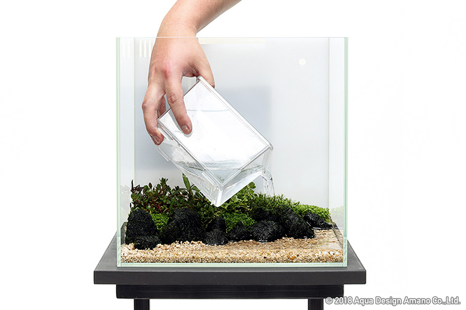 DOOAレシピ】#02「水草の安らぎと癒し」 | AQUA DESIGN AMANO