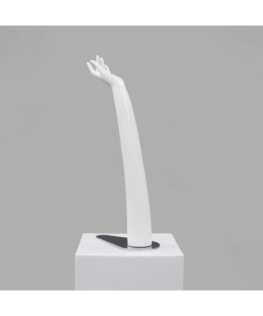 ハンドトルソー・ハンドフォーム A800-L｜トルソー（パンツ）レンタル