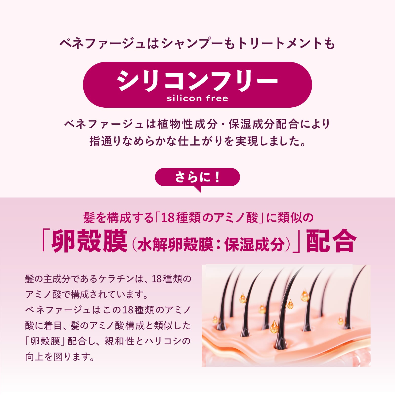 ベネファージュ 薬用モイスチャーコントロールシャンプー Mサロン品質