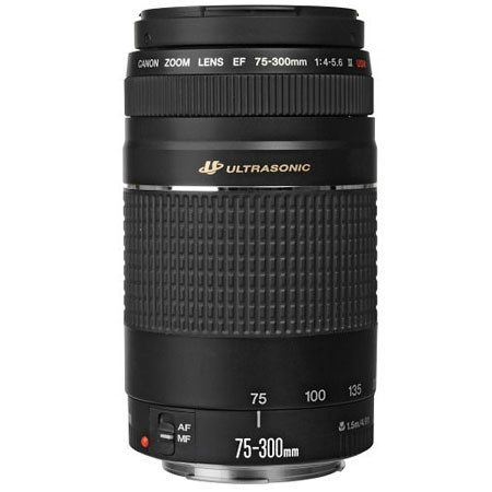 Canon EF 75-300mm F/4-5.6 III USM Lens, USA - Adorama