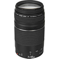 Canon EF 70-300mm f/4-5.6 IS II USM Lens 0571C002 - Adorama