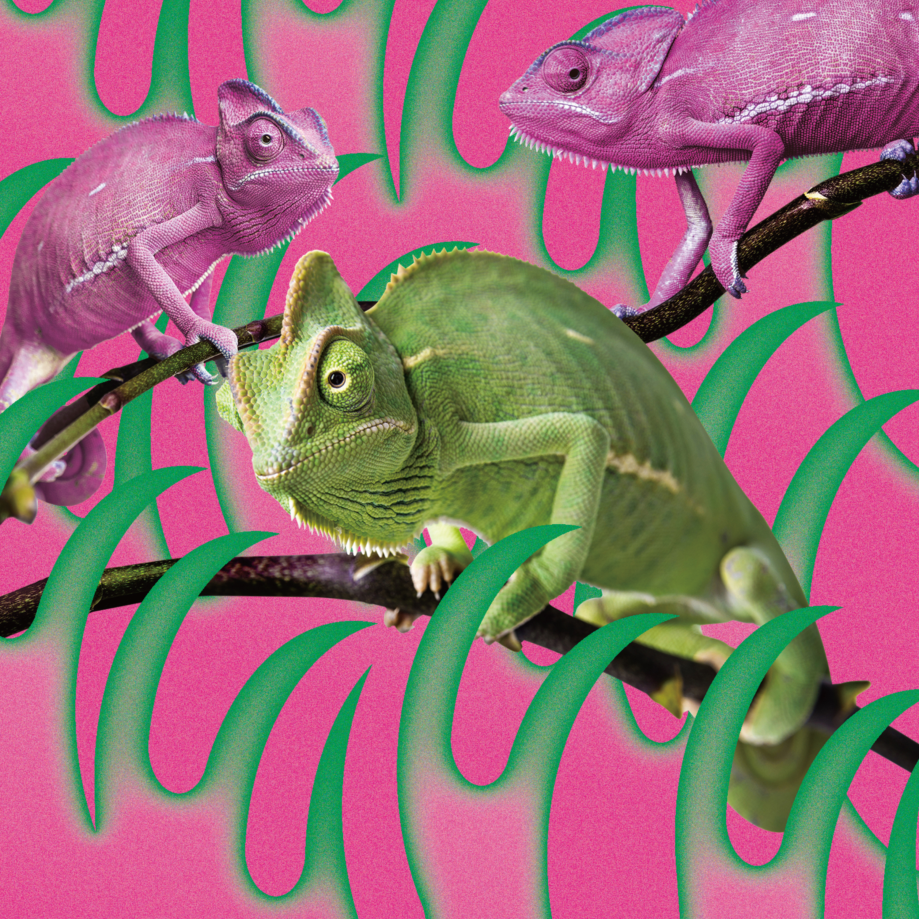 赤い公園『消えない - EP』インタビュー | 赤い公園