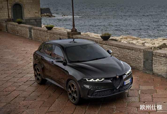 新車特別購入サポート