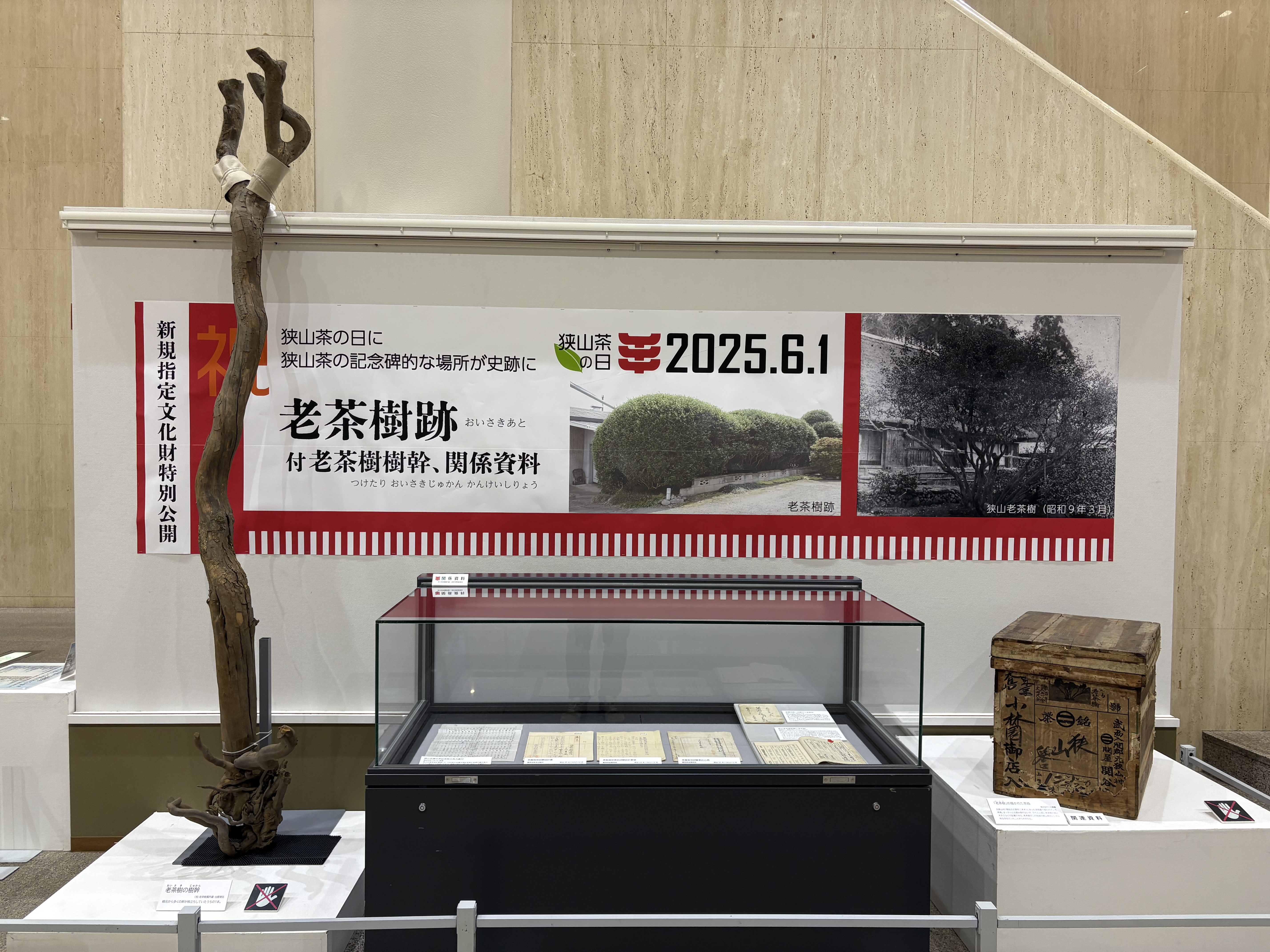 会期延長！エントランス展示「新規指定文化財特別公開 老茶樹跡 が史跡