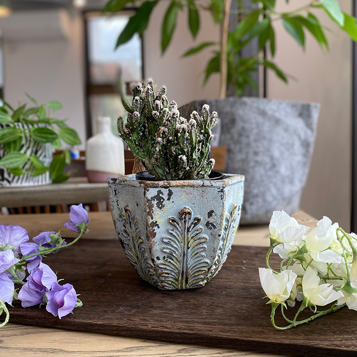 Zeras セメント鉢カバー S - 姫路市 雑貨店 PORTUS