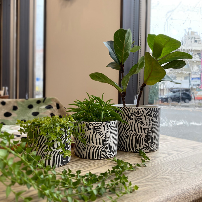 Zibra セラミック鉢カバー Mサイズ 5号 - 姫路市 雑貨店 PORTUS
