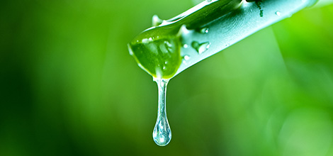 チェルラー ファルコ パーフェクトクリーム（40g）［医薬部外品