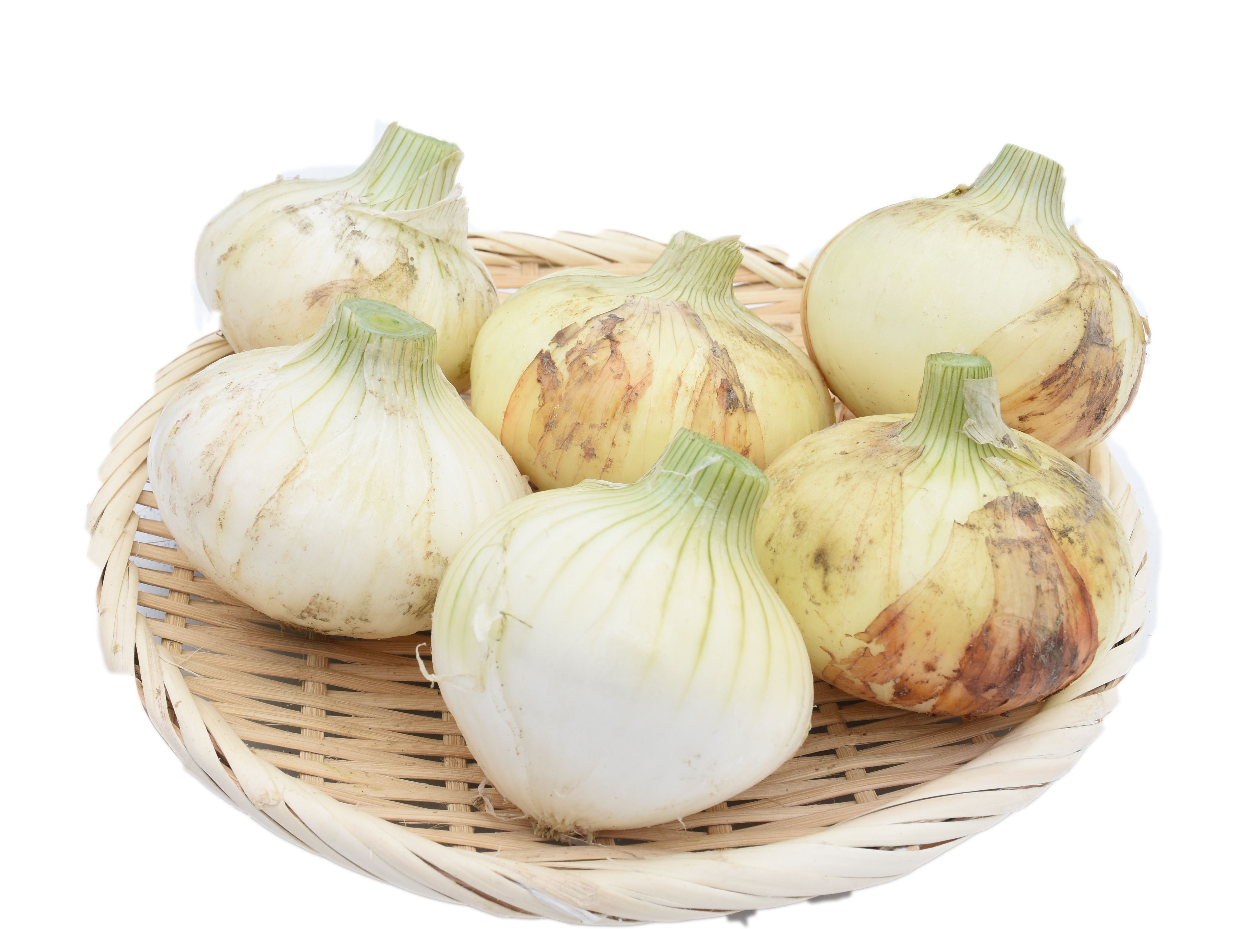 タマネギ | 知多どれ 野菜 | アグリス（JAあいち知多）