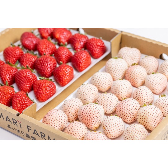 AIMARI FARM～あいまり農園～｜天空のいちご園