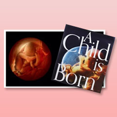 あすなろ書房【A Child is Born 赤ちゃんの誕生】